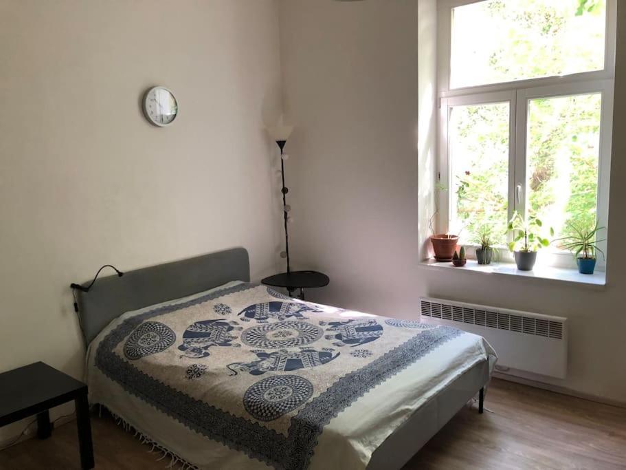 Cozy Karlin Appartement Praag